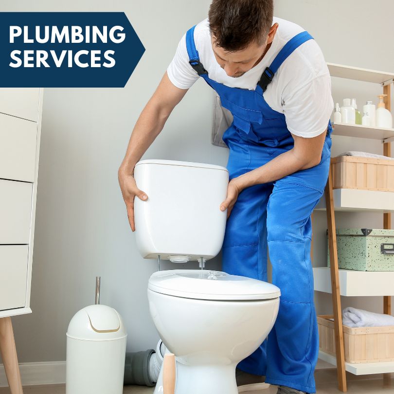 Plumbing Company in Rhodesdale, MD